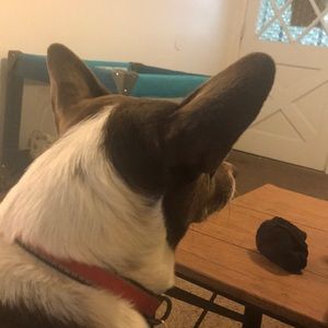 Meet your Posher, Rerebecca